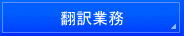 名古屋入国管理局・仮放免申請・名古屋・仮放免許可・異議申し立て